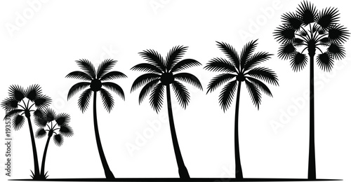 Palm Tree Silhouettes Collection, Tropical Coconut Palm Trees Vector Set