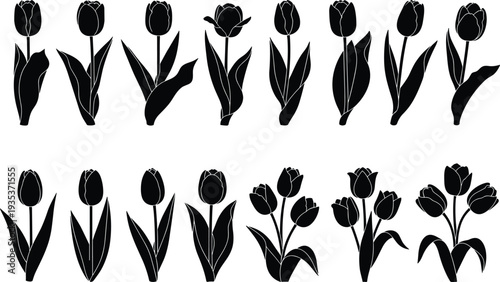 Tulip silhouette set, botanical flower icons, black vector tulips, floral design grid, leaf variation, spring bloom shapes