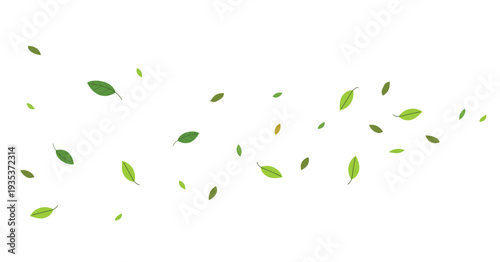 Flying leaves with wind illustration, fall season