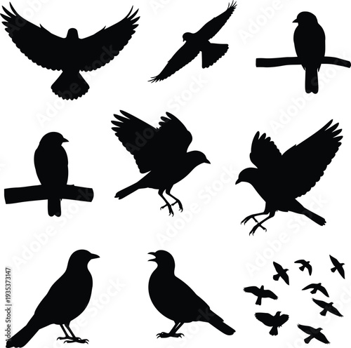 Set of 9 bird silhouettes vector