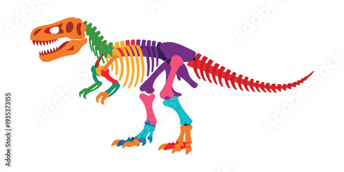 Tyrannosaurus rex skeleton illustrating prehistoric dinosaur anatomy with different colorful bone sections