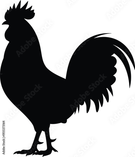 Black rooster silhouette vector