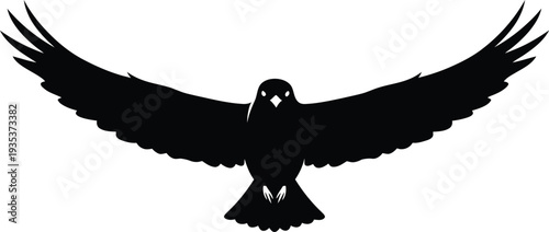 Black eagle vector silhouette