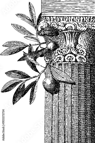 Classical column with ornate capital and olive branch detail in vintage engraving