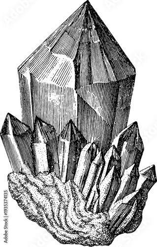 Intricate 19th century vintage botanical diamond gemstone engraving for design and art prints