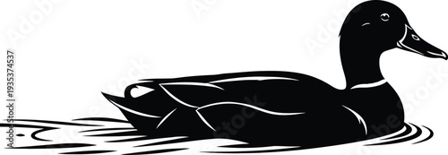 Black duck swimming vector icon