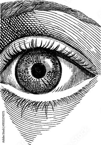 Ornamental eye illustration in vintage style for engraved design projects