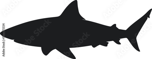 Black shark icon vector