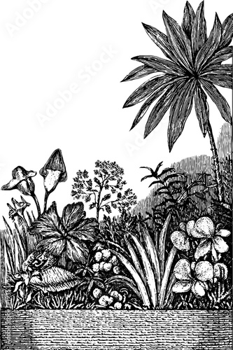 Ornate italian renaissance grotesque border with vintage botanical elements