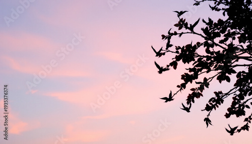 Sunset sky pastel gradient pink cloud purple sky tree branch bird silhouette flying bird evening light calm nature peaceful mood soft sunset sky with pastel gradient, pink cloud and purple sky
