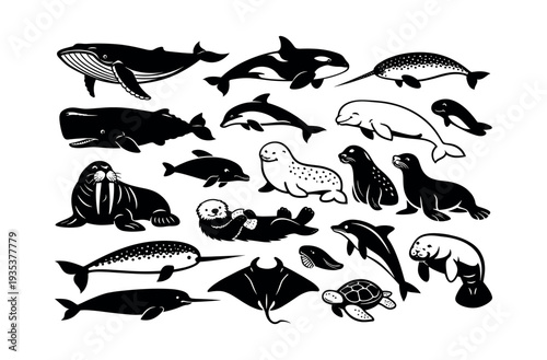 Collection of diverse sea creatures forming a broad representation of marine life, featuring various mammals, fish, and a turtle