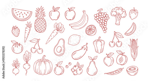 Hand drawn collection of various fruits and vegetables in a simple sketch style with a red outline on a white background