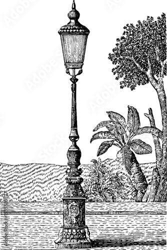 Victorian street lamp with botanical backdrop vintage design for historical posters