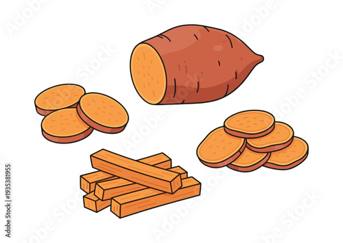 Sweet potato vegetable set featuring whole, sliced, and french fries style cuts, illustrating healthy eating and natural ingredients