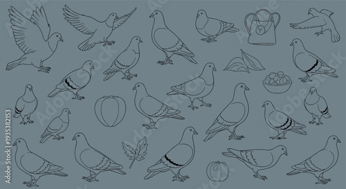Collection of pigeon illustrations in various poses and styles on a muted background showcasing their diverse forms and movements