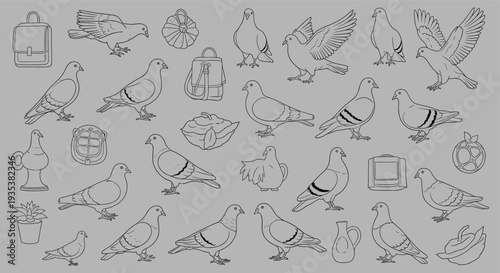 Collection of Pigeon Illustrations and Decorative Elements on a Gray Background
