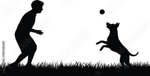 Man playing with dog catching ball silhouette in grass isolated on white background representing pet training, companionship, outdoor activity and fun