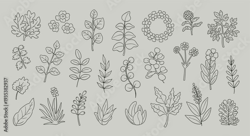 Collection of delicate hand drawn botanical illustrations featuring various leaves and flowers in a charming sketch style on a neutral background