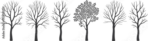 Collection of tree silhouettes with bare branches and leafy tree isolated on white background representing seasonal forest elements, nature design and botanical illustration