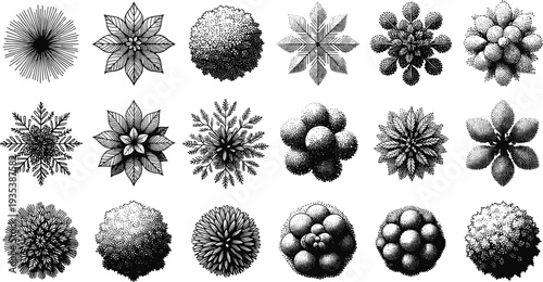 Black and white abstract floral ornament set, detailed botanical ink illustrations with intricate radial patterns isolated on light background for decorative design