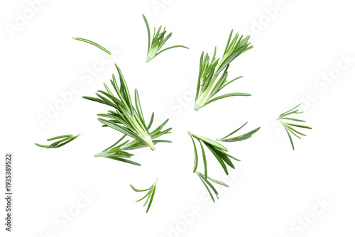 Flying green rosemary isola...