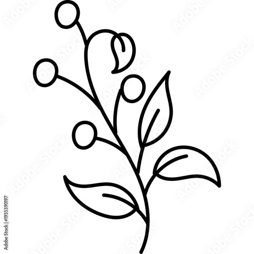 Minimalist Botanical Line Art