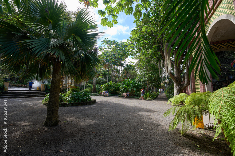 Obraz premium Botanical garden path with visitors