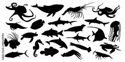 Various sea animal silhouettes on white background. Ocean life for educational material or aquatic themed design. Underwater world collection.