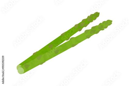 アスパラガスの手描き風イラスト