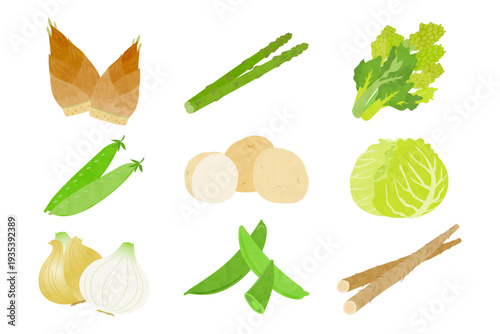 春野菜の手描き風イラストセット