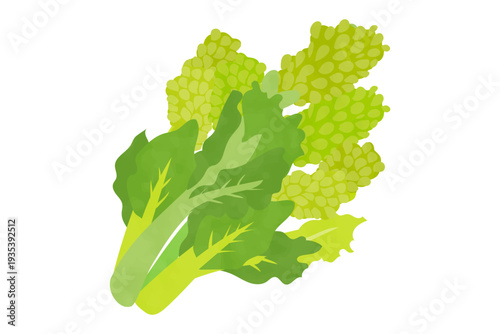 野菜の菜の花の手描き風イラスト