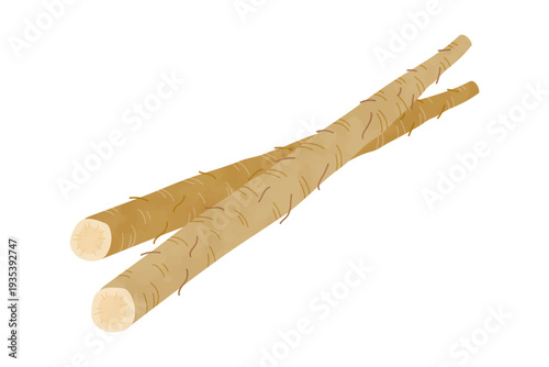 新ごぼうの手描き風イラスト