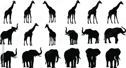 Giraffe and Elephant Silhouette Collection Vector Set of African Safari Animals Wildlife Icons Isolated Black Animal Shapes for Nature Zoo and Wildlife Design Projects
