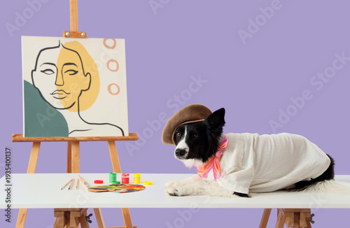 Cute Border Collie dog in a...