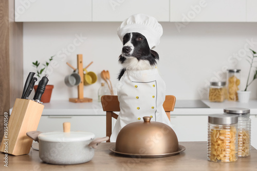 Cute Border Collie dog with...