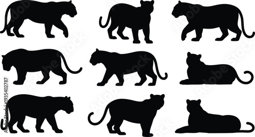 Panther big cat silhouettes collection with walking standing and resting wild feline animals isolated on white background vector set