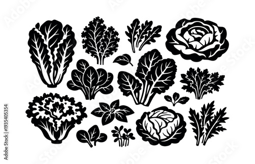 Assortment of popular leafy greens showcasing nutritious eating, plant-based diet, and vibrant organic produce