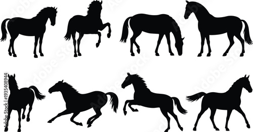Silhouette Collection Of Horses In Various Poses And Actions On White Background animal animals