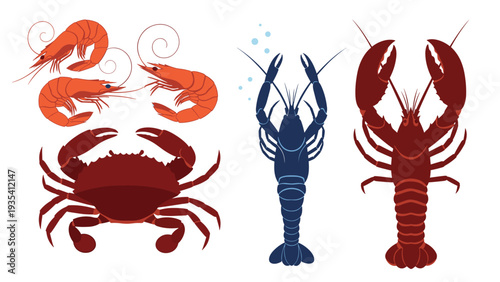 Detailed illustrations of fresh seafood including multiple red shrimp a crab and two lobsters displayed on a white background.