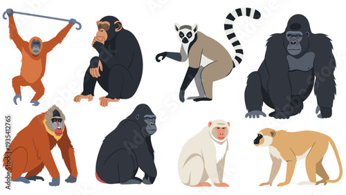 Diverse collection of primates including a gorilla chimpanzee lemur orangutan and various monkeys in realistic flat design style.