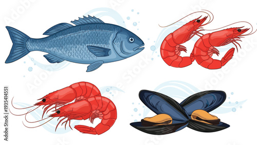 Realistic vector illustration of fresh seafood items featuring a blue fish, several red prawns, and open mussels.