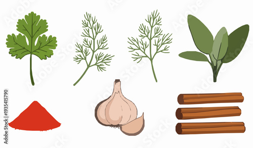 Colorful culinary herbs and spices flat vector illustration set on white background
