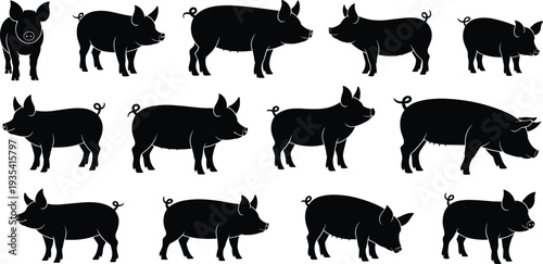 Collection of black silhouette pigs in various poses and angles on white background animal farm