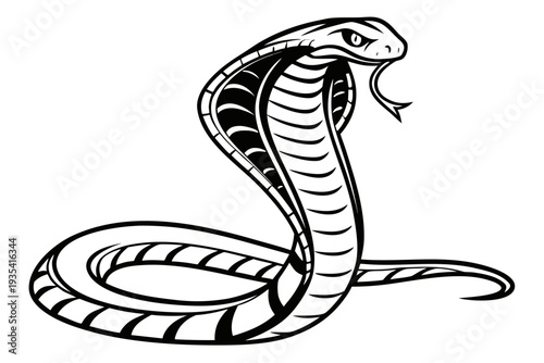 snake on a white background