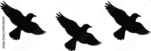 Flying bird silhouette vector set featuring black dove pigeon wings spread wildlife symbol isolated design collection