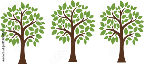 Green Leafy Tree Set Nature Plant Forest Ecology Environment Cartoon Style Vector Illustration Collection