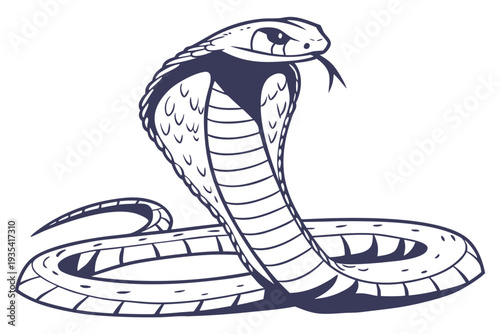 vector illustration of a snake