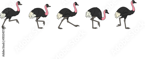Ostrich Bird Cartoon Collection Running Walking African Wildlife Animal Character Vector Illustration Set
