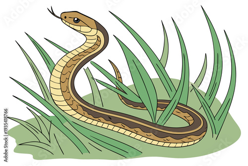 snake in the grass