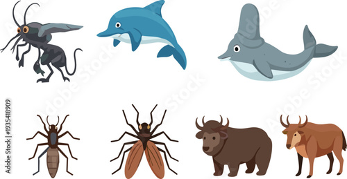 Wild animals insects and sea creatures vector set with dolphin whale bear deer spider and fly illustration